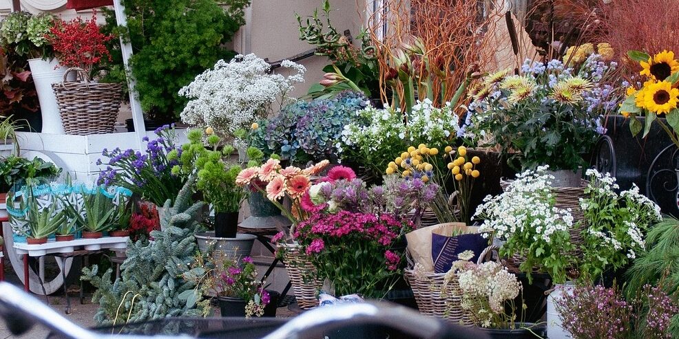 flower-shop-6763936_1280 Country Tour Coach Trip