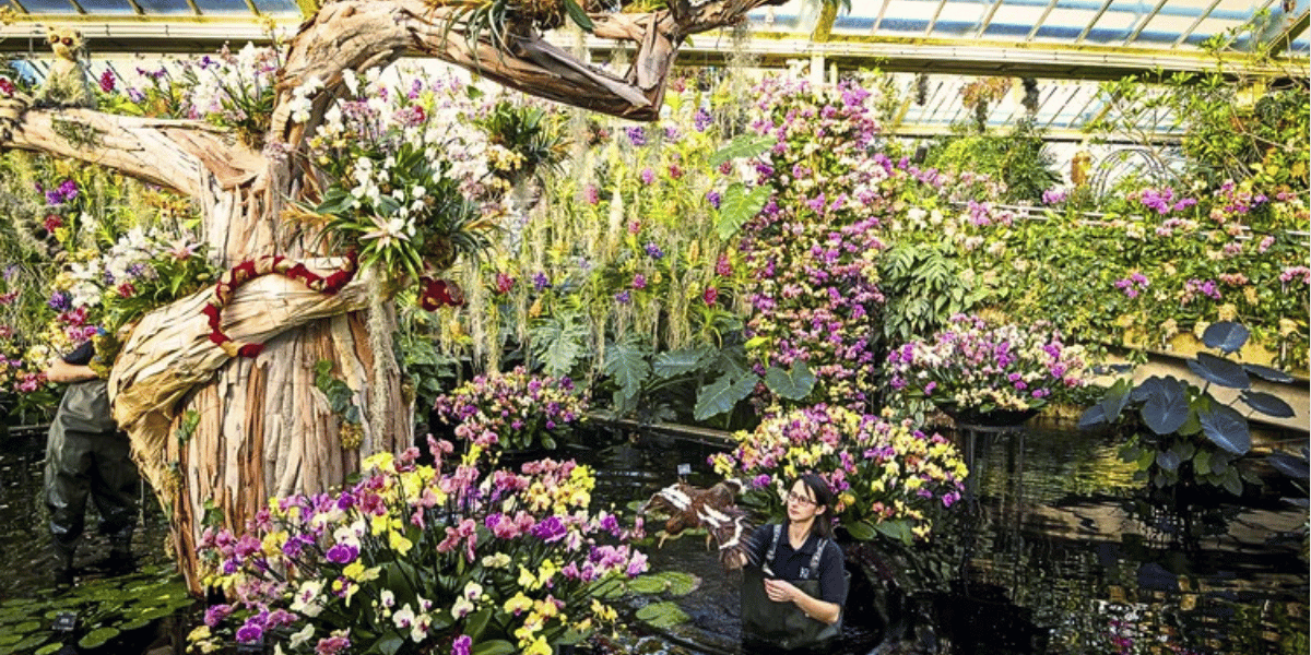 Orchids Festival Day Trip