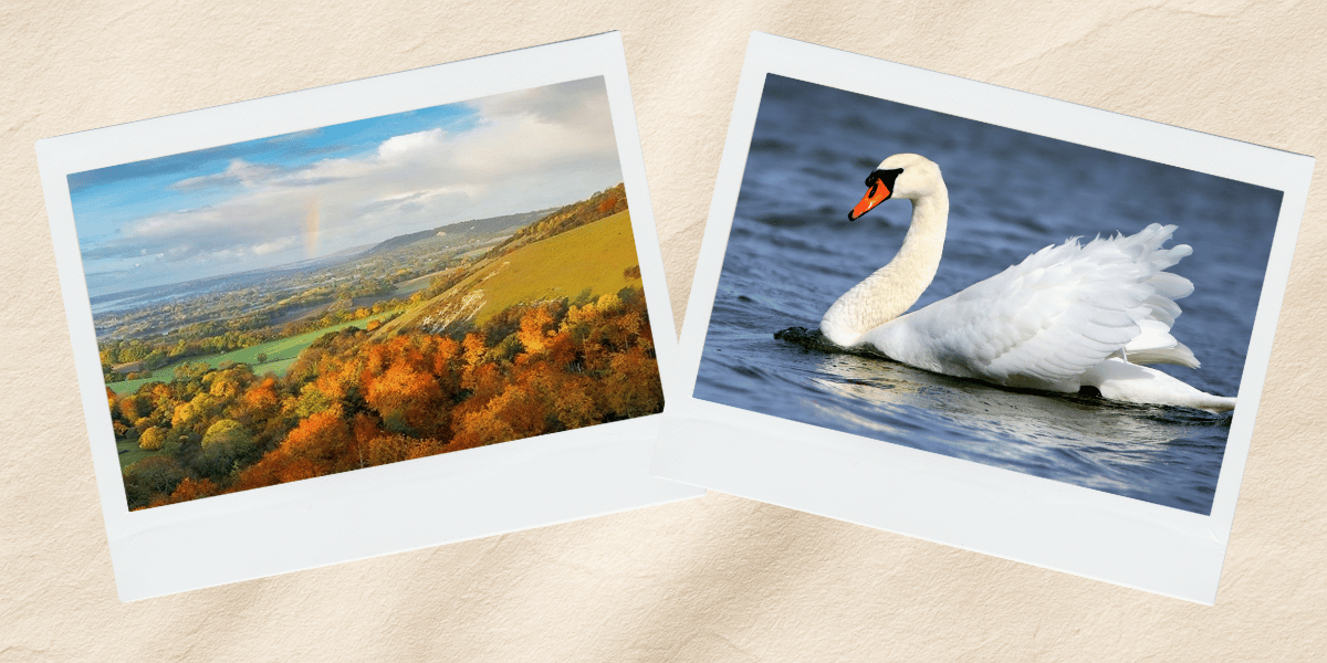 Gatton Park and Surrey Hills Coach Trip