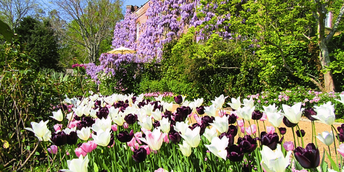 Pashley Manor Tulip Festival Coach Trip